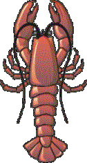Lobster Pic.